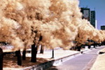 Kragujevac OnLine - Foto galerija - Kragujevac sada